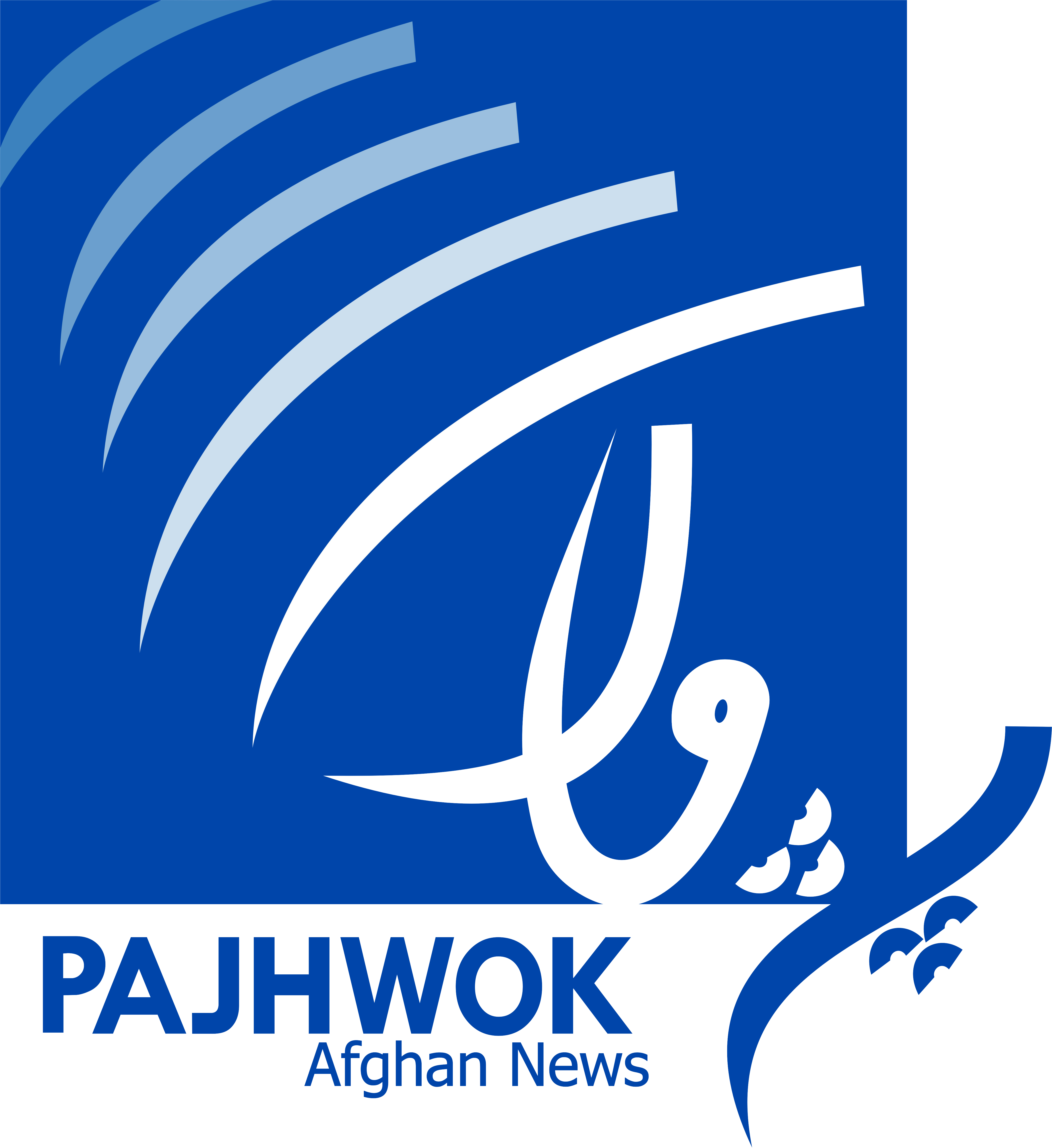 1-PAN Logo Final